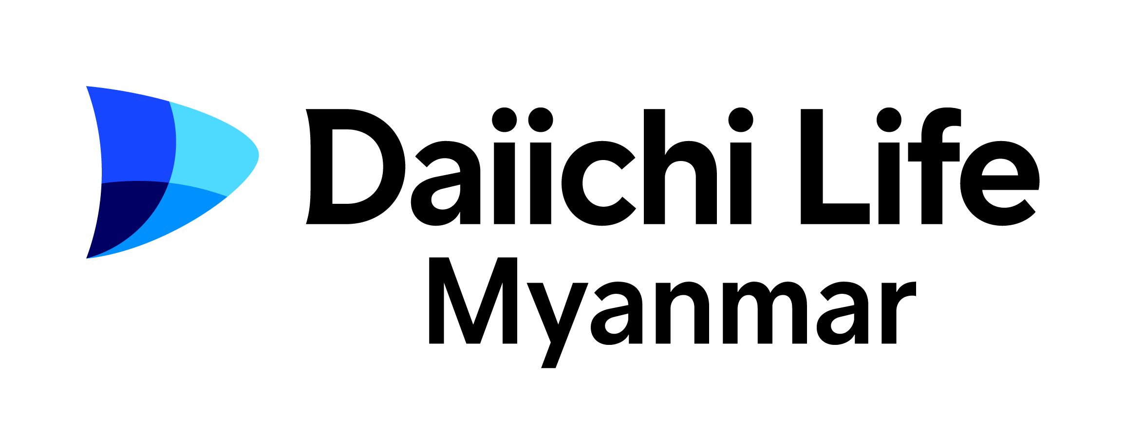 DLMM Logo